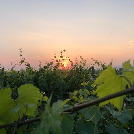 La Corte Del Bona - Vicino Alle Cantine E A Circa 15 Minuti Dal Lago Di Iseo - Erbusco Exterior foto