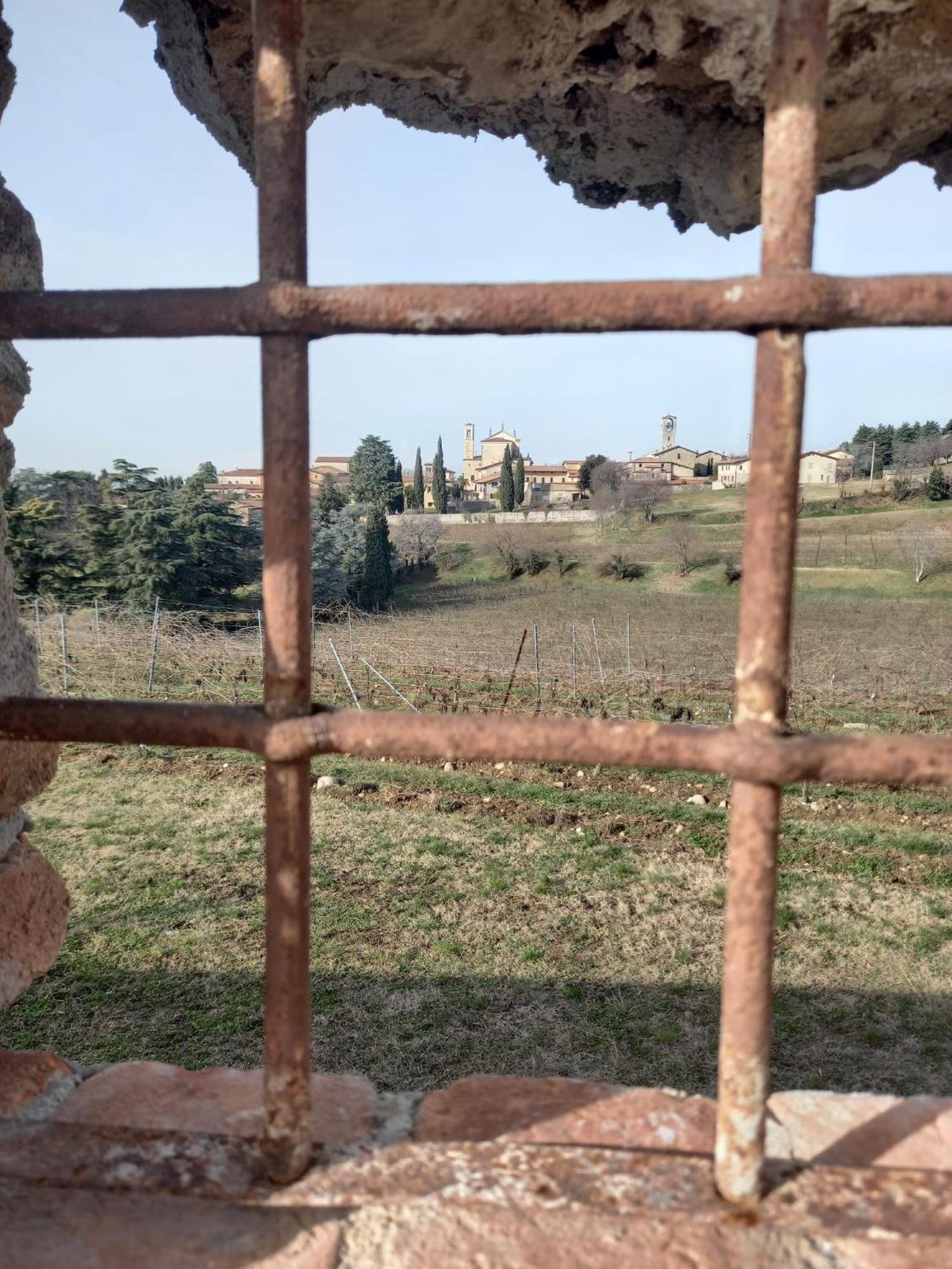 La Corte Del Bona - Vicino Alle Cantine E A Circa 15 Minuti Dal Lago Di Iseo - Erbusco Exterior foto