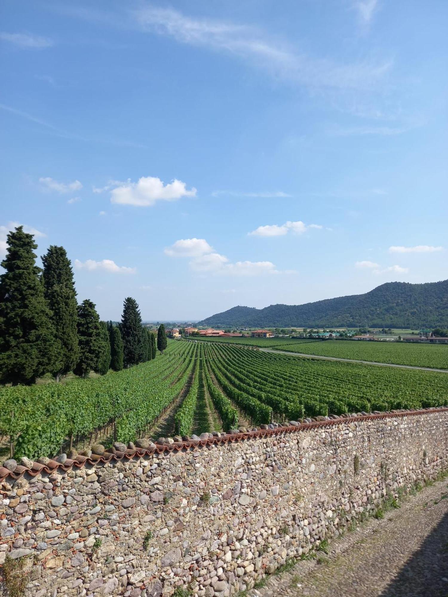 La Corte Del Bona - Vicino Alle Cantine E A Circa 15 Minuti Dal Lago Di Iseo - Erbusco Exterior foto